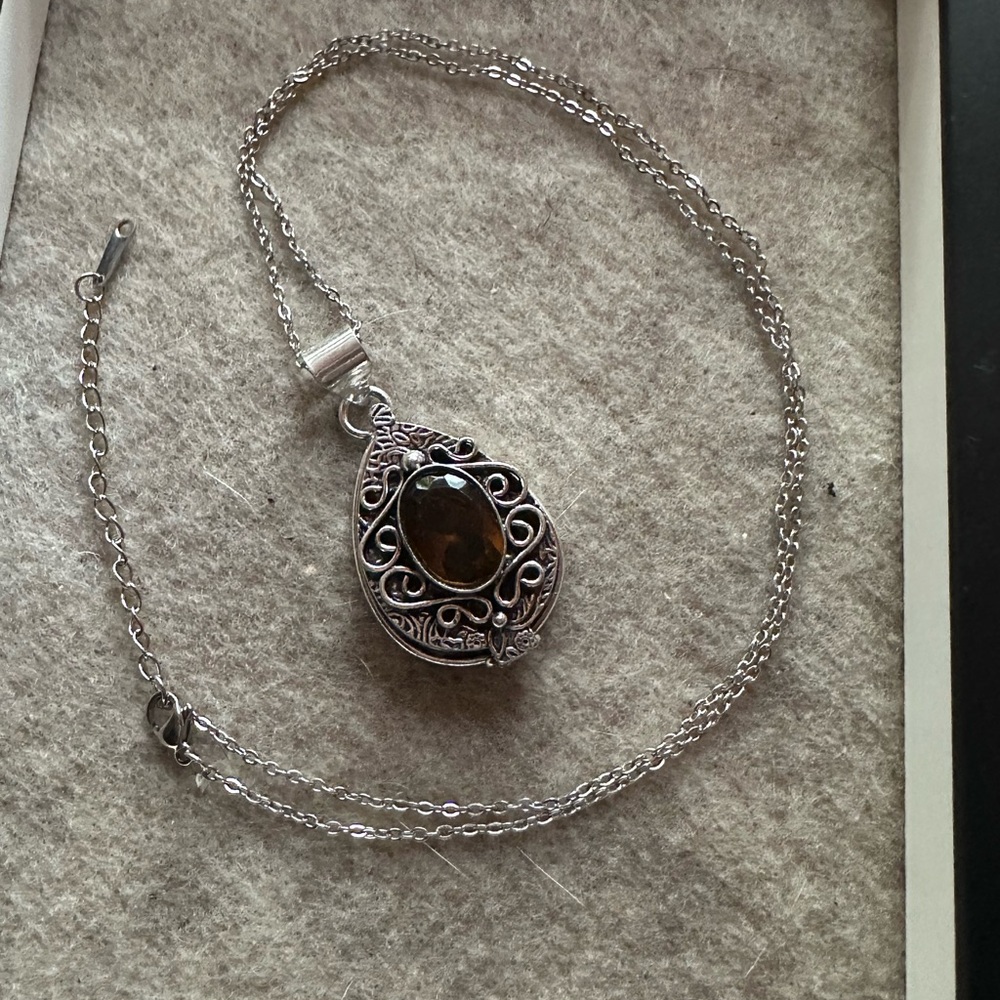 Elegant Silver and Brown Poisen/Stash pendant necklace